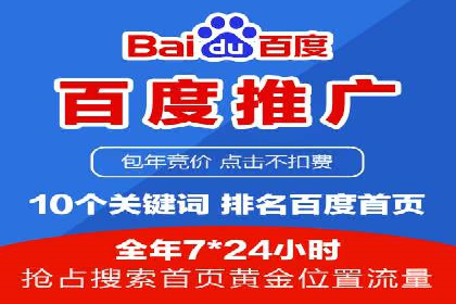 百度品牌专区推广的成效与案例